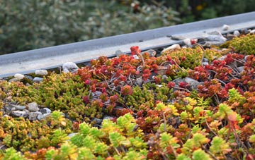 the cost of Clayton Brook green roof installation