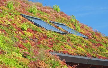 Clayton Brook living roof systems