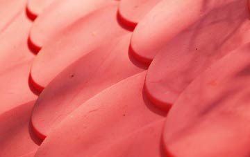 Clayton Brook plastic roof costs