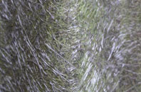 Clayton Brook fibreglass roof work